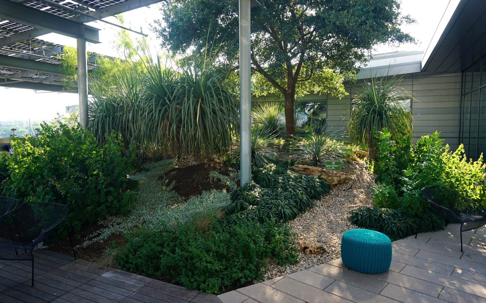 A roof garden of layered grasses, shrubs and a mature tree above paving and timber decking.